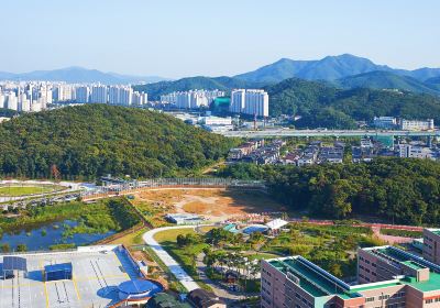 Corea del Sud