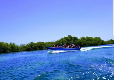 Monte Cristi