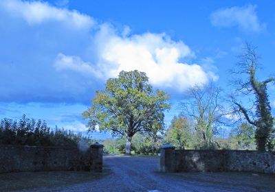 Ardress House