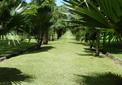 Kingstown