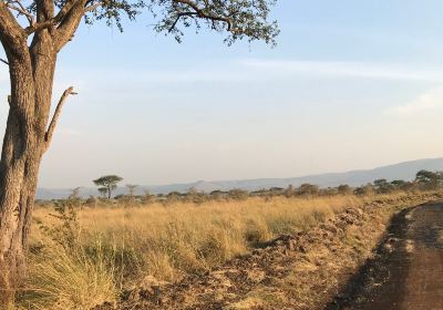 Kisii