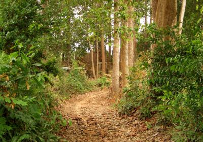 Provincia di Banteay Meanchey