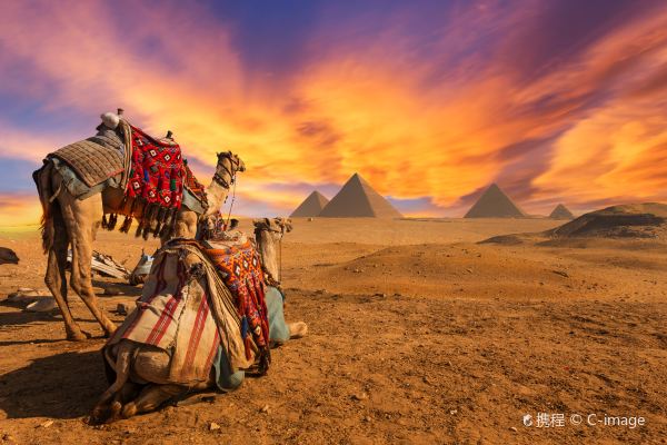 Dubai to Giza Governorate flight
