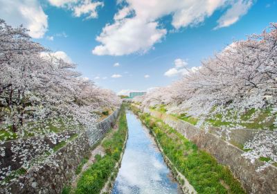 Prefettura di Aichi