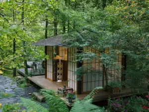 Qingcheng Mountain is not staying. Jiuzhi Forest Private Tang Homestay